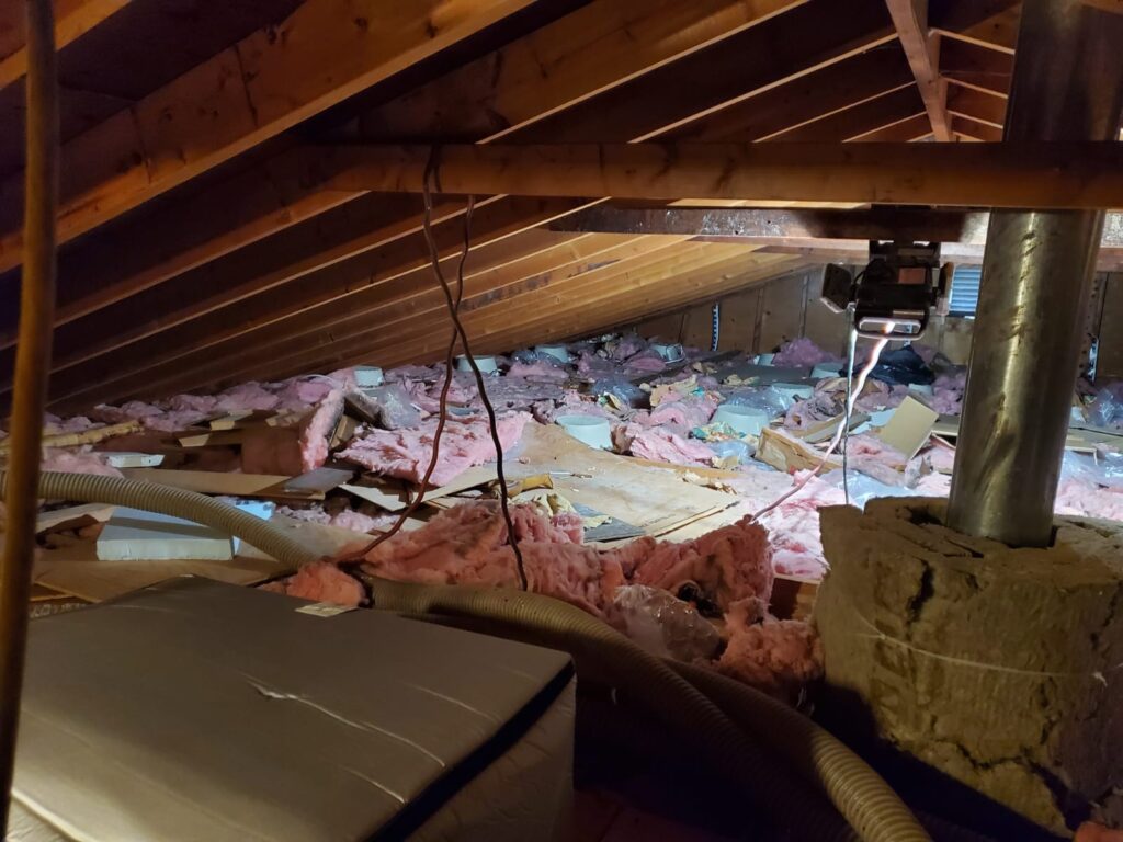 Signs You Need to Replace Your Insulation